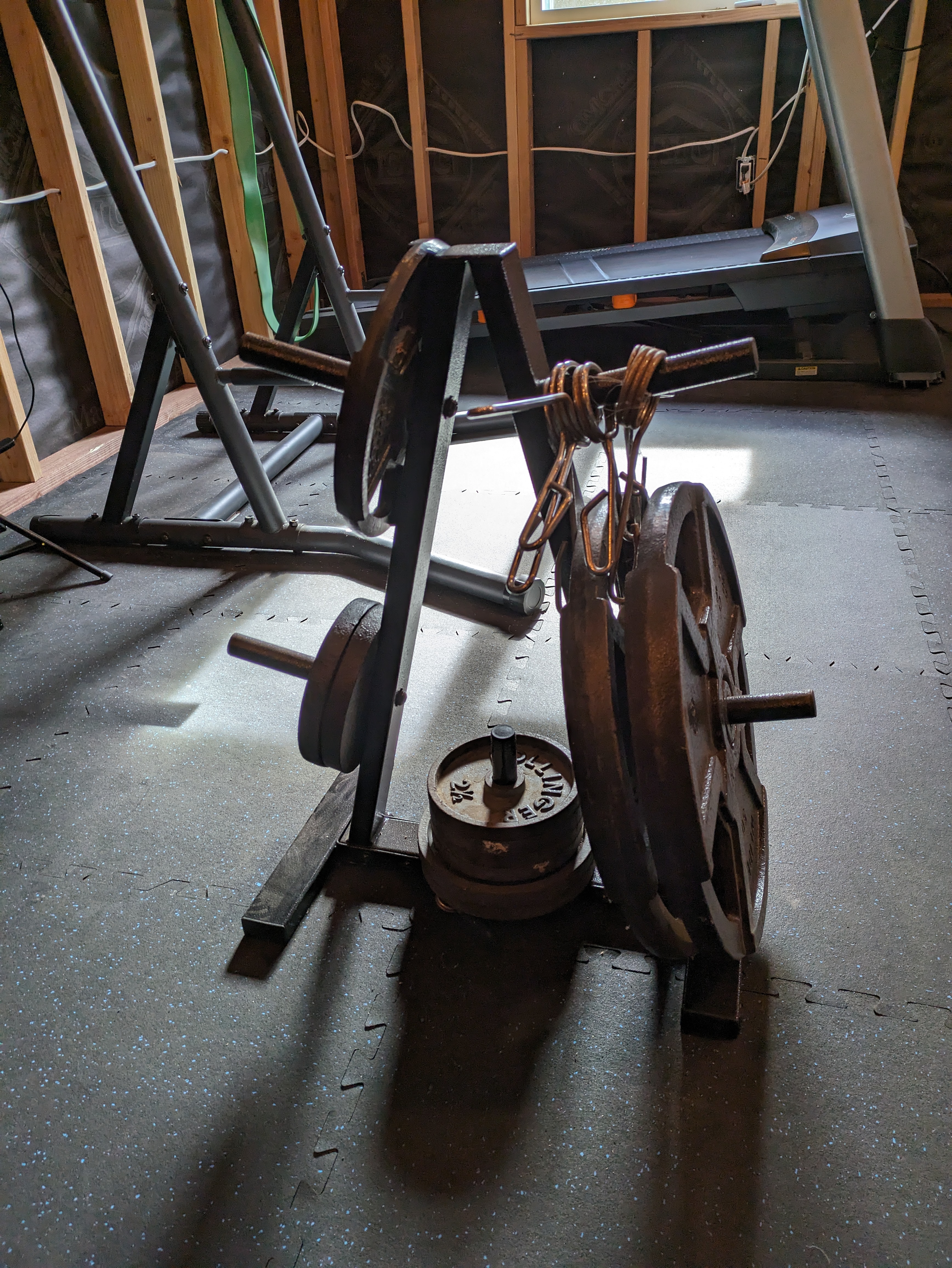 home gym weights